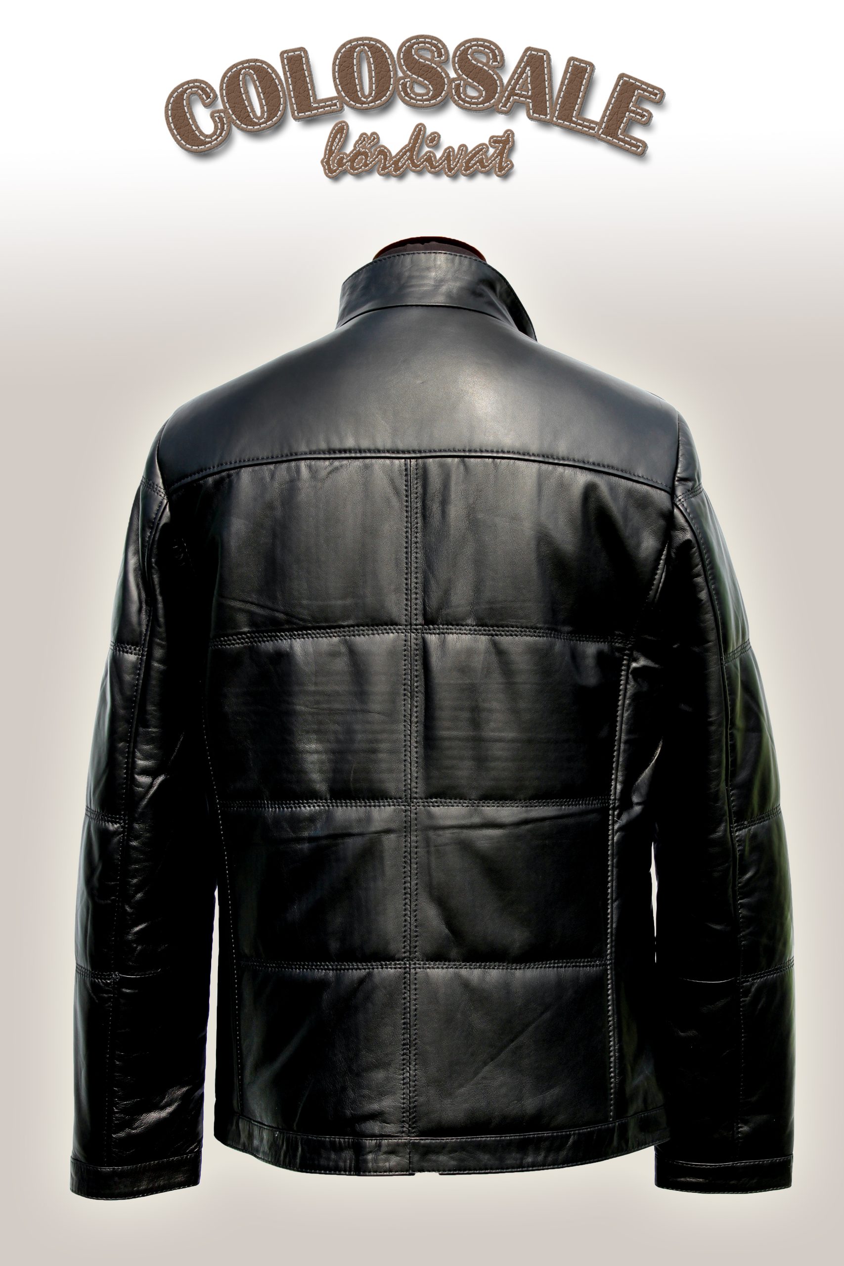 Rocco - Image 5